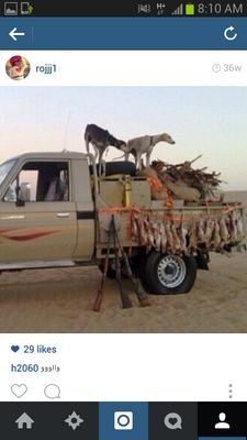 ثوب الردى يقصر ولاهو بقدي .دور وتلقى له مع الناس لاباس