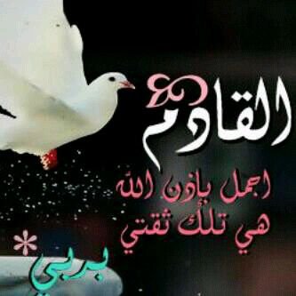 ‏‏لا اله الا انت سبحانك اني كنت من الظالمين