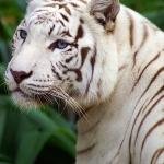 Dima00728's profile picture. 