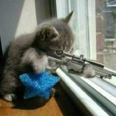 Hi my name is gyrroz and I am a COD feeder and editor. I am a part of ZarK so if you want to join follow @BeaverBallistics and tweet at me or message me or him.
