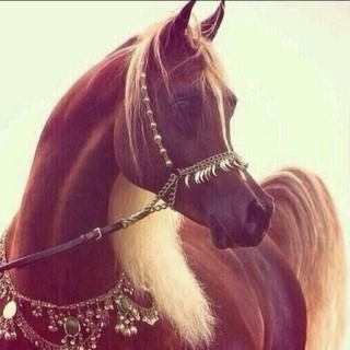 سبحان الله وبحمده سبحان الله العظيم