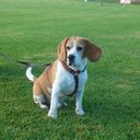 Mari Schmidt - @mustlovemusic6 - Twitter