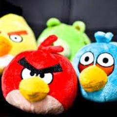 shahrukh171's profile picture. Pakistan 🇵🇰
💯 % Follow Back