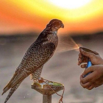 ‏انيق بطريقھ ملفتھه و هادئ امام الناس مزعج امام من احب و خلف الازعآج عناد غريب ف انا رجل بمفاهيم مختلفھ ♥