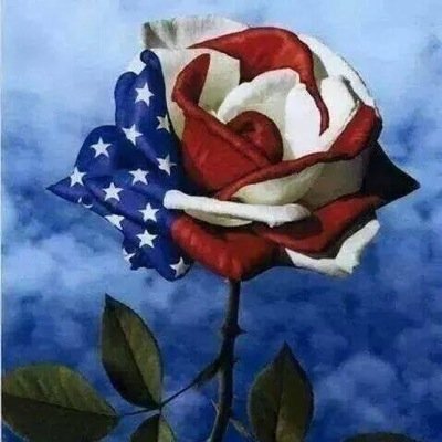 linda_zeal's profile picture. 