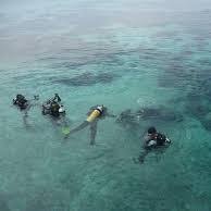 fifihindrianti1's profile picture. apapun yg orang ktakan tentang aq ini lah aq apa adanya :)