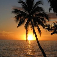 Palm (@palm2246) 's Twitter Profile