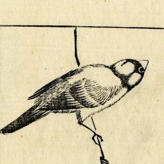 pen_pen_penne's profile picture. 