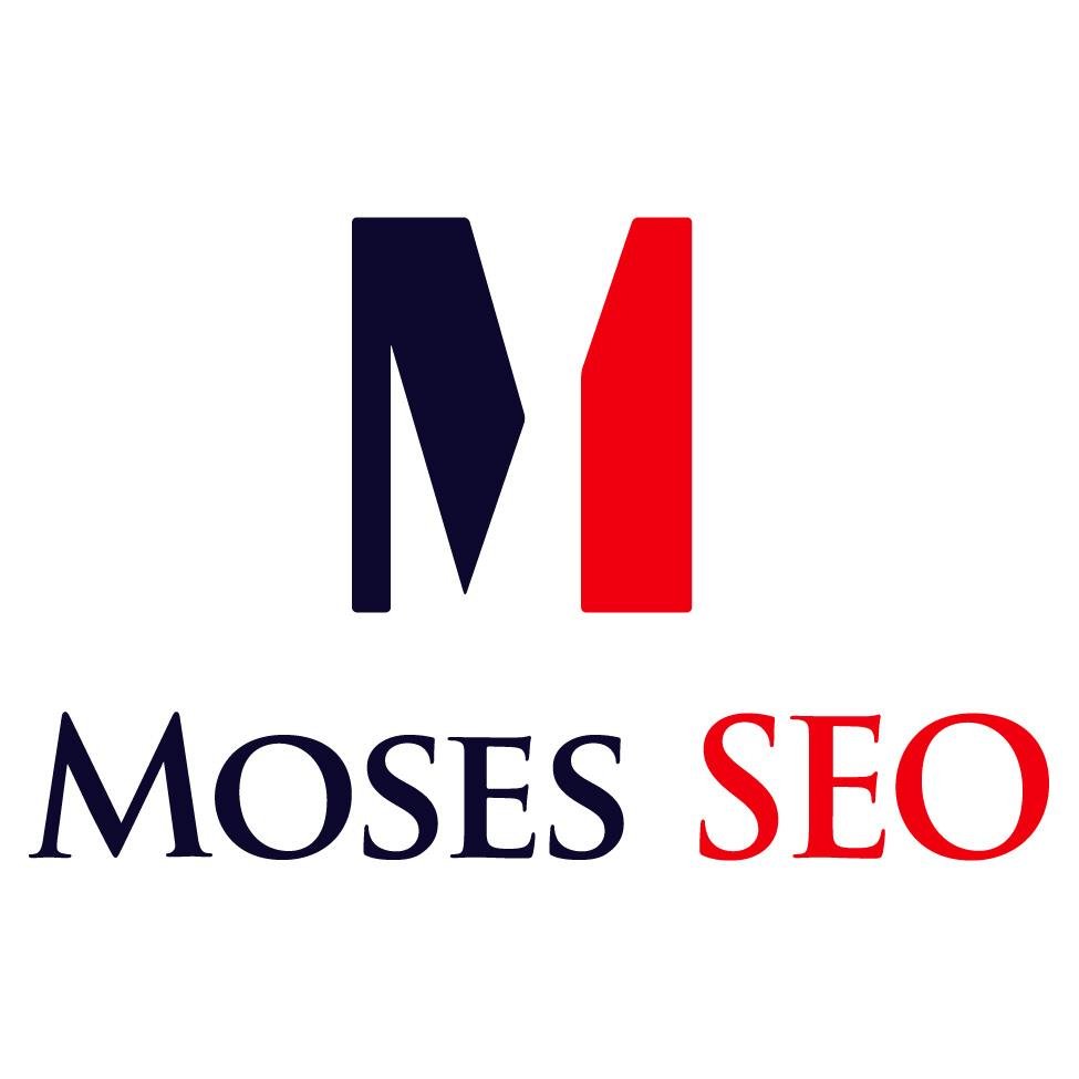 (SEO )   Search Engine Optimizing,  (SEM)  Search Engine Marketing.  Moses SEO is a company to help your listing get higher in the search engines.