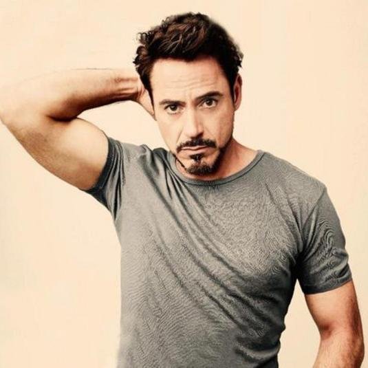 You know who I am. Genius, billionaire, playboy, philanthropist.
rp, gay
