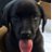 jim_green1023's profile image