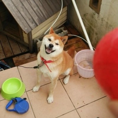 nitijouarar's profile picture. ムカつくことやオラァ！！ってなることをつぶやいていきます。共感したらRTお願いしまーす！