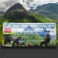 Wild about Scotland(@WildaboutScot) 's Twitter Profile Photo