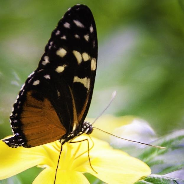 superwloss's profile picture. #Weight #control and #happiness. #Leisure with balanced #diet.