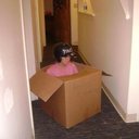 Amanda Dague - @dague_amanda - Twitter