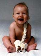 Gentle, Effective KST Chiropractic treatment for the entire family.  Serving Southeastern Michigan, Oakland County and Metro Detroit