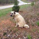 Ira brodsky - @irabrodsky1694 - Twitter