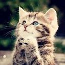 Daniel Wenham - @The_Weno - Twitter