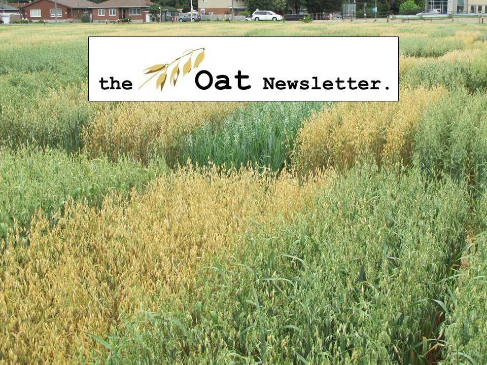 Oat Newsletter Profile