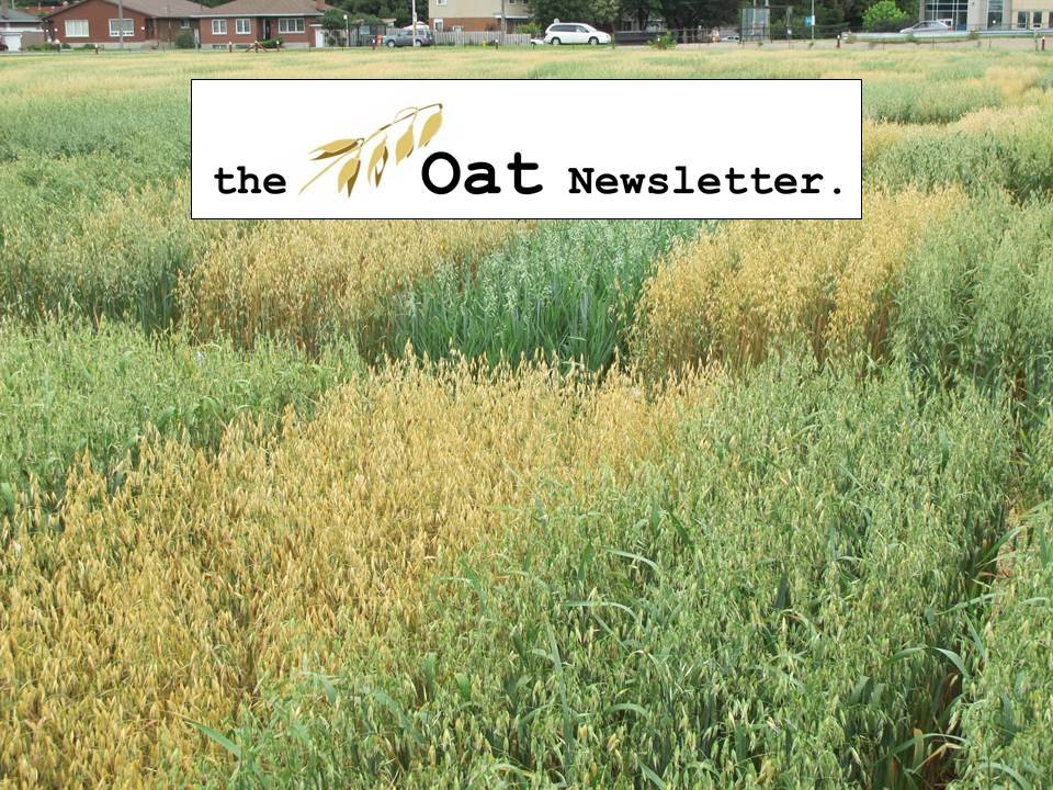 The official Twitter account of the Oat Newsletter, serving the oat research community around the world. Tweets by Charlene Wight, Oat Newsletter editor.