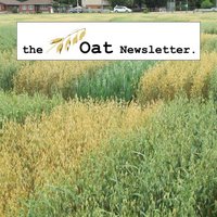 Oat Newsletter(@OatNewsletter) 's Twitter Profile Photo