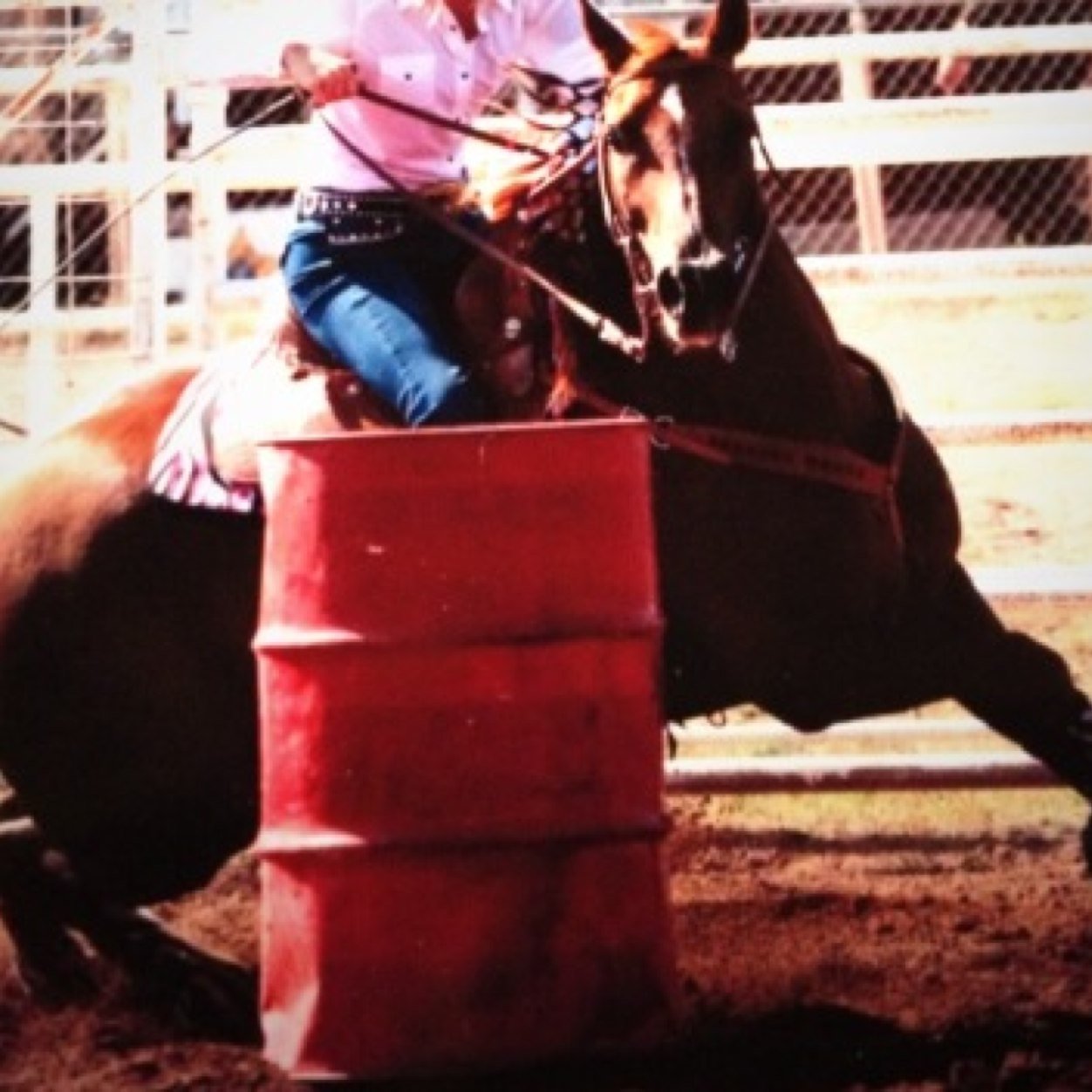 rockinrodeogirl Profile Picture