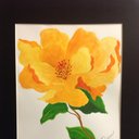 Virginia Pierce - @gmargaretpierce - Twitter