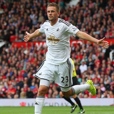 Football mad swansea city ospreys and wales