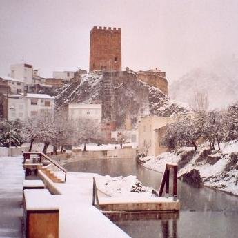 FestSote2015's profile picture. 