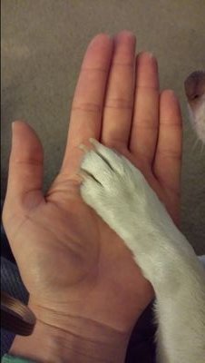 mari9g's profile picture. 