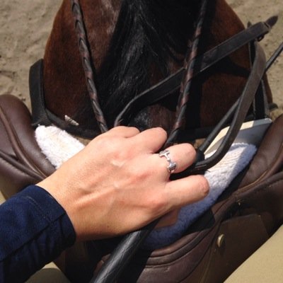 Every barn has one: the barn bitch. I give unsoliceted advice for everything from your eq to the hideous pink polo wraps you force your gelding to wear.