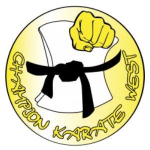 Championwest's profile picture. We have decided to  teach small classes at your home, business or organization. We are still teaching classes and Self-Defense seminars. Prices are much lower