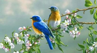 MgNaingNaing's profile picture. 