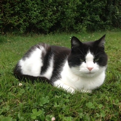 boggletheartist's profile picture. 