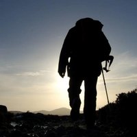 Best Walks (@bestwalks) 's Twitter Profile