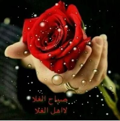 من غير صحاب اشيك