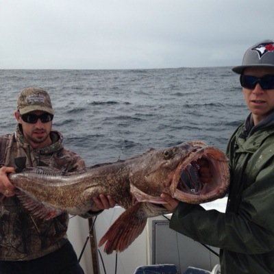 LangT4's profile picture. 