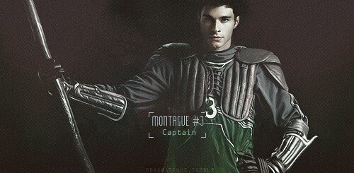 Slytherin»Sangre Pura»7° curso»Cazador»Hábil y con carácter» #PotterRunes