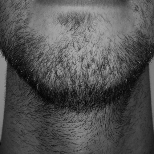EVERY MORNING // GROWING BEARD
