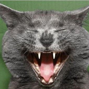 FunnyClips888's profile picture. 