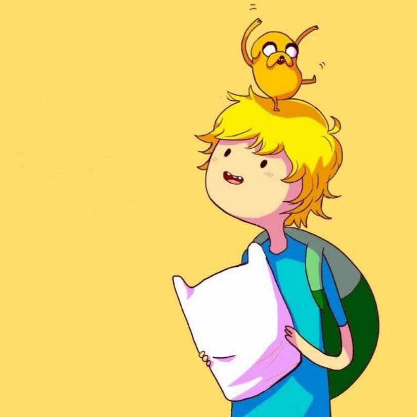 Hi, Im Finn, The Human.