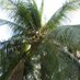 AAM (@aamannan1) Twitter profile photo