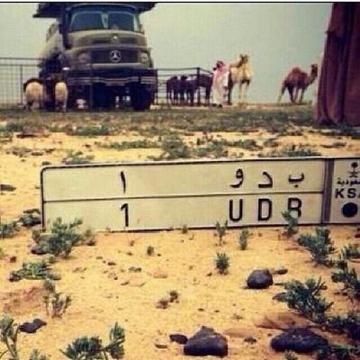 المفارق والله انه ام المصايب
يقطع القلب الشقاوي من وريده
ساعته اثقل من حمول الركايب
ماحصلي يبكي العين العنيده