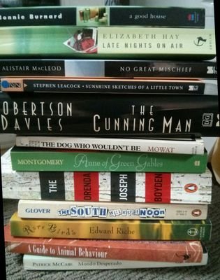 A collection of free libraries & book boxes stewarded by the community on Ottawa St. Give, take, or borrow a book.