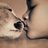 snejnogo_barsa's profile image