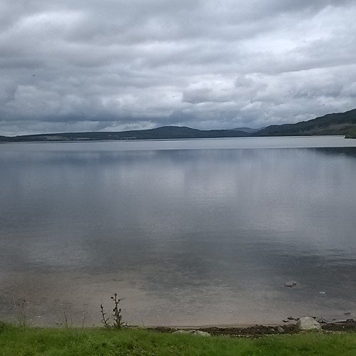 alex_sanjazzle's profile picture. What's the difference between man utd and a triangle. A triangle has 3 points.