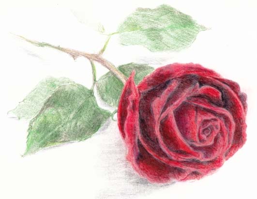 KendraRianne's profile picture. 