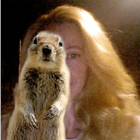 Sarah Wells (@sarahww) 's Twitter Profile Photo Sarah Wells (@sarahww) 's Twitter Profile Photo