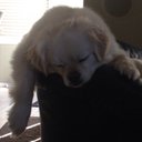 Todd B - @todd_bakken - Twitter