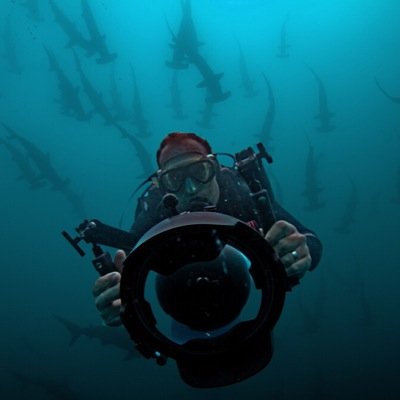 Filmmaker / Commercial Diver / Investor / Property Developer.
